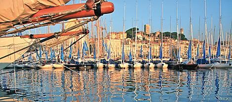 11 Mai 26 - Cannes