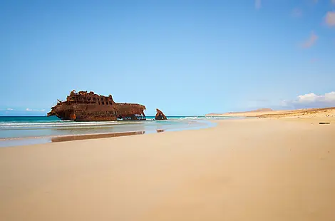 17 Nov 26 - Boa Vista
