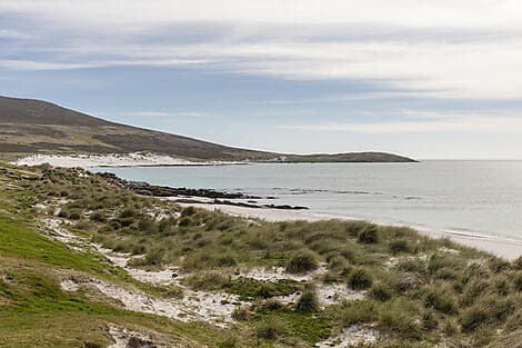 13 Mars 28 > 14 Mars 28 - Île Carcass