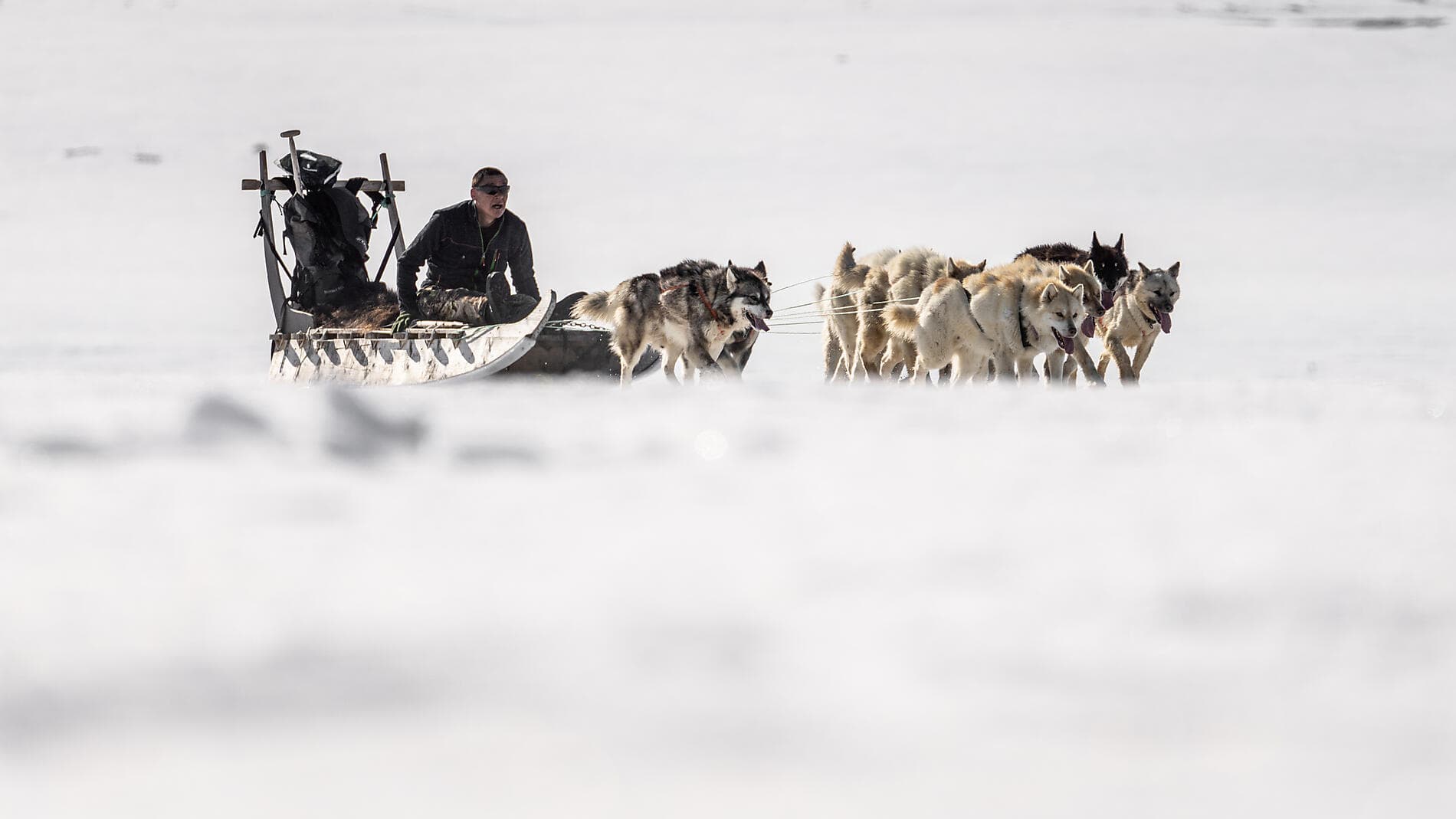 Printemps arctique entre glaces et communautés inuites 