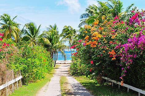 8 Avr 26 - Charlestown, Nevis