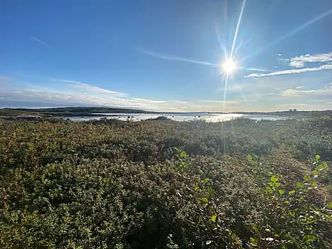 29 Sept 26 - La Romaine