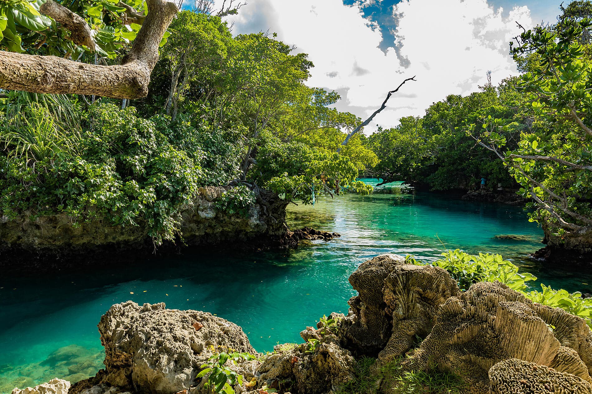 Des îles Fidji à Bali 