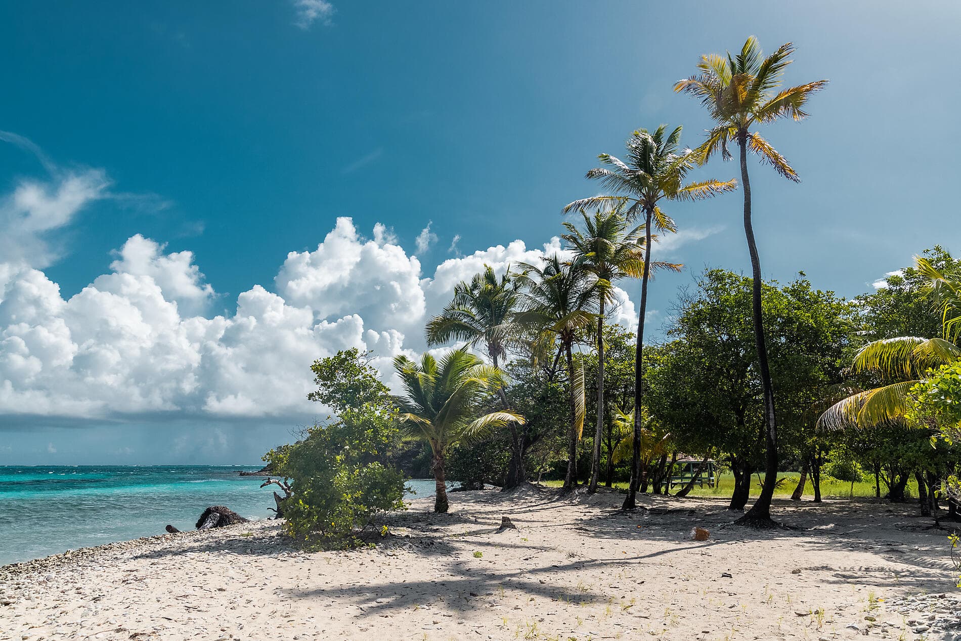 Les îles du Vent à fleur d’eau 