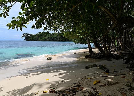 19 Oct 26 - Tab Island