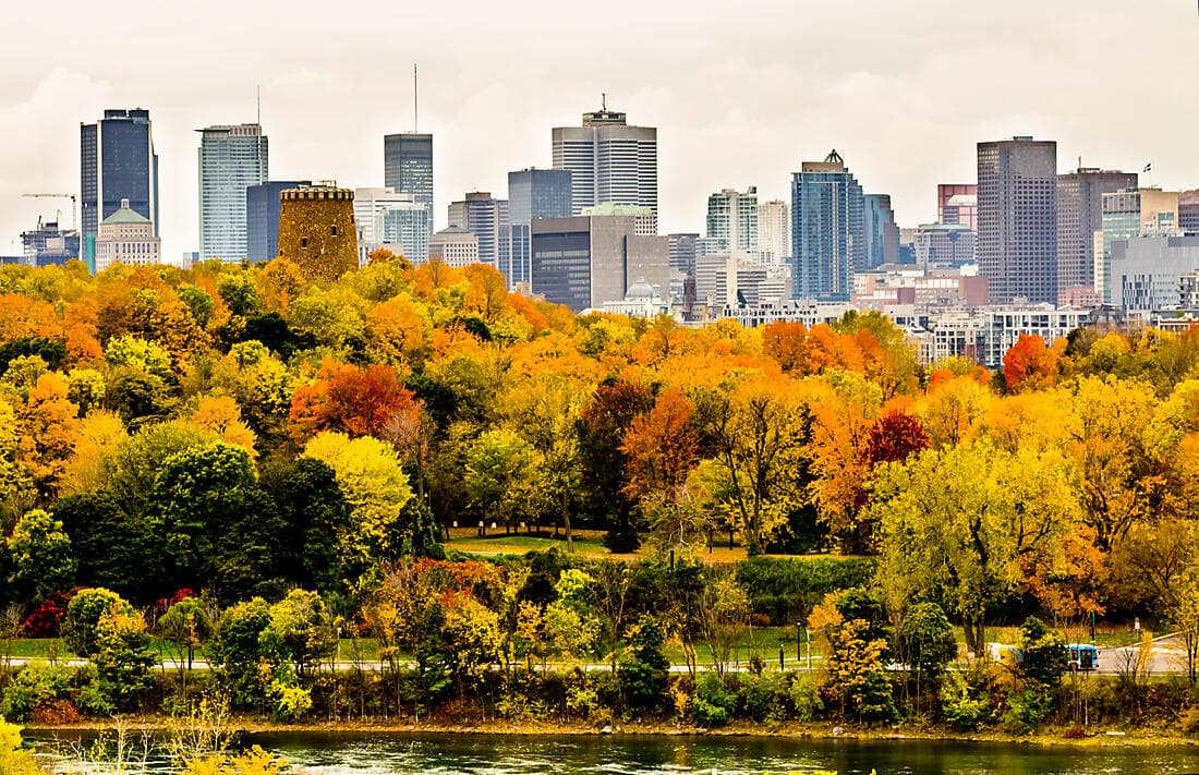 À LA DECOUVERTE D'UNE CABANE À SUCRE ET TOUR DE MONTRÉAL