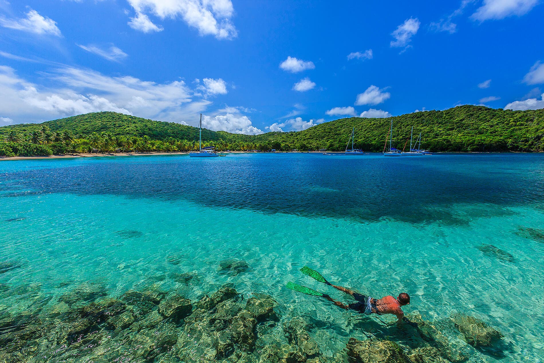 Merveilles des Caraïbes 