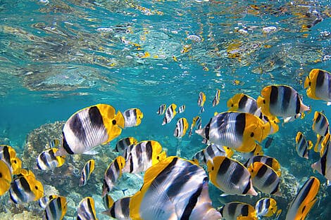 1 Janv 26 - South Friars Bay, Saint-Kitts