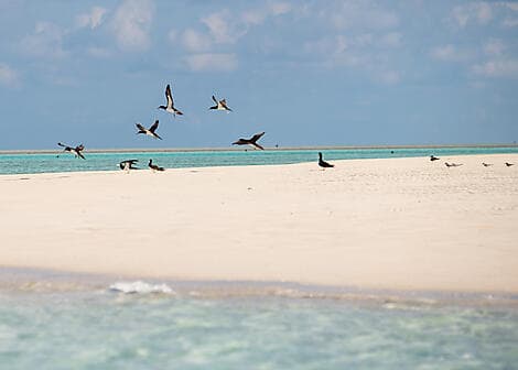 2 Juil 26 - Ashmore Reef (escale technique)