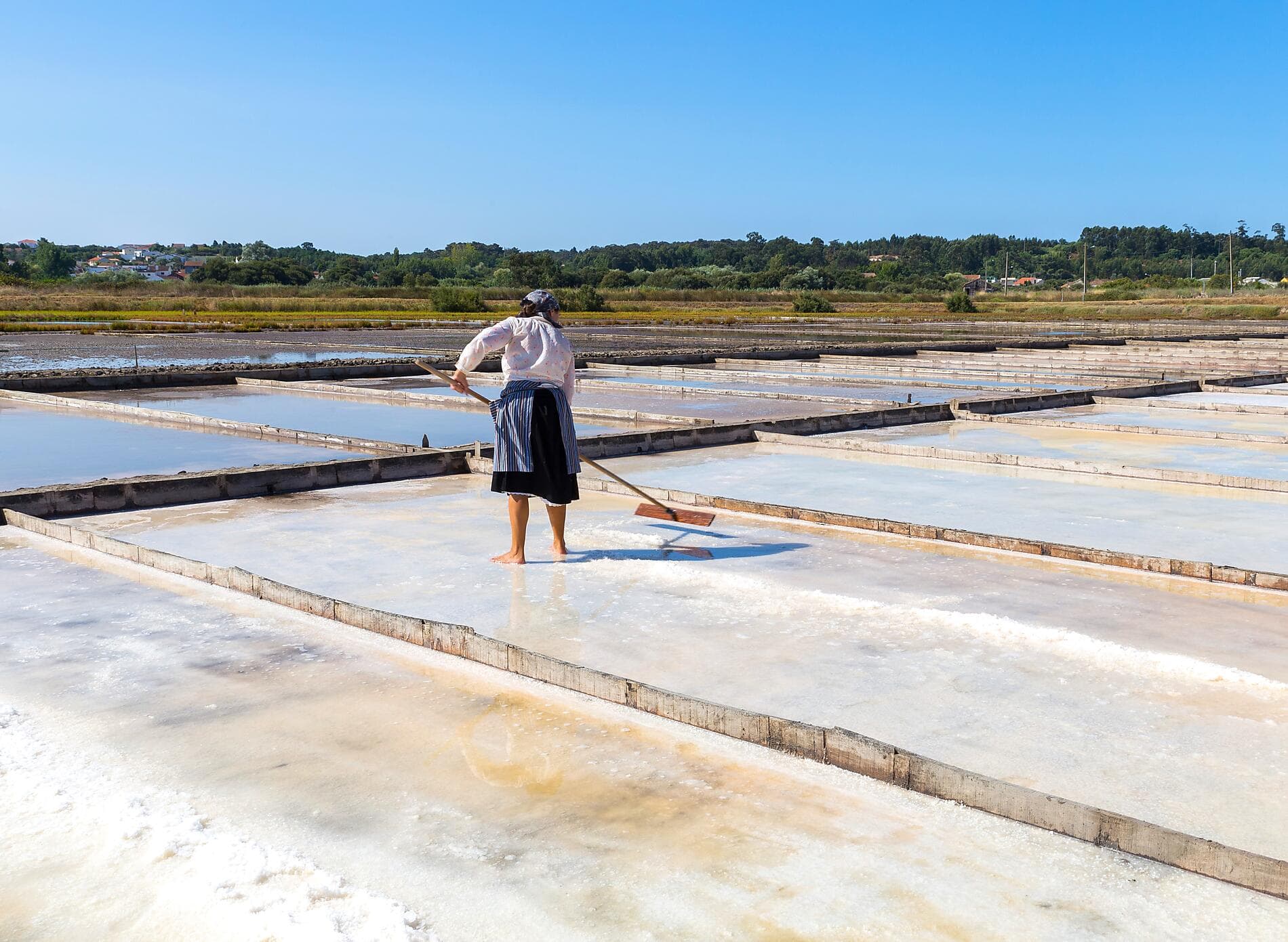 L’été au vert, de la mer du Nord à la péninsule ibérique  