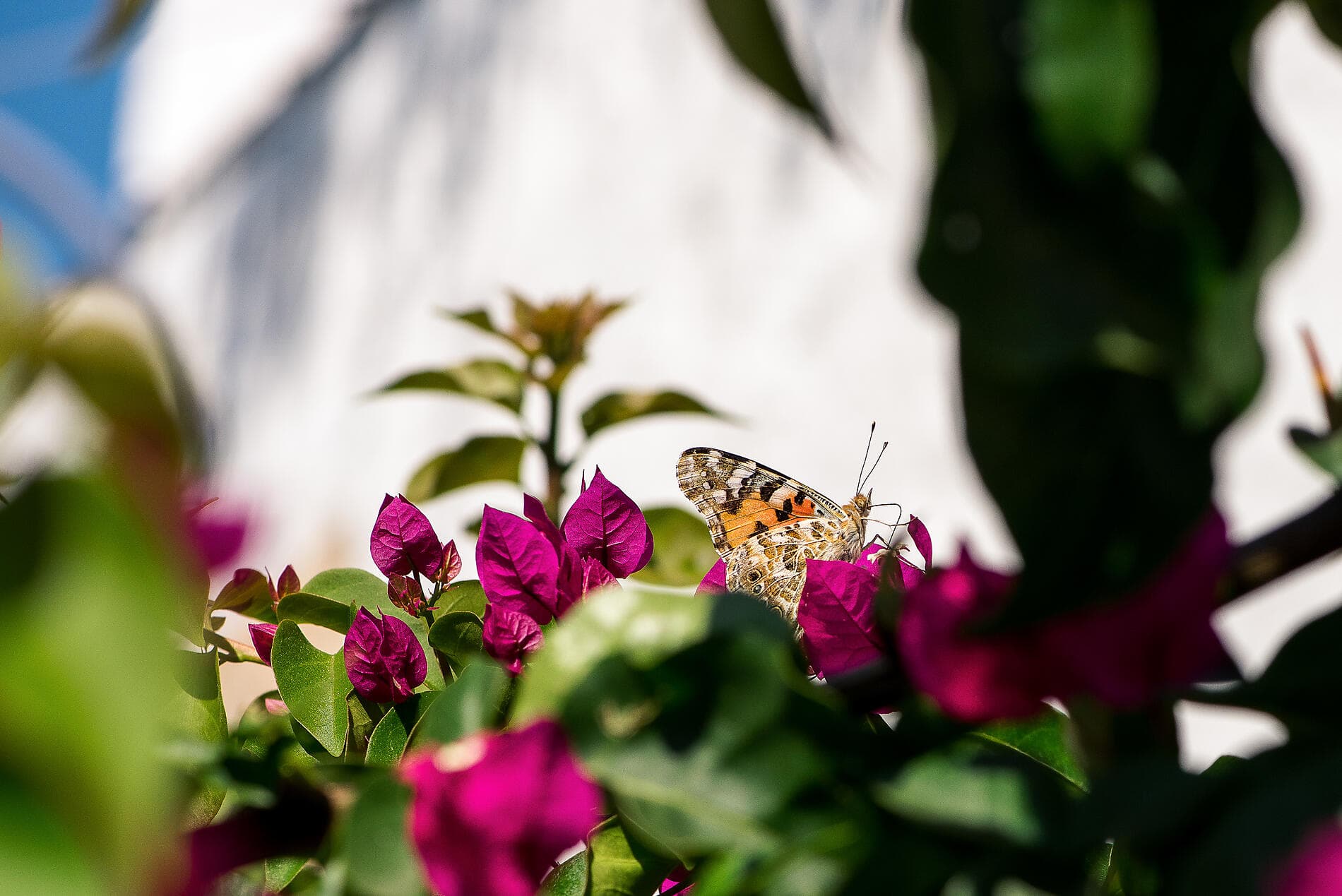 La Grèce méridionale, dans le sillage du Ponant