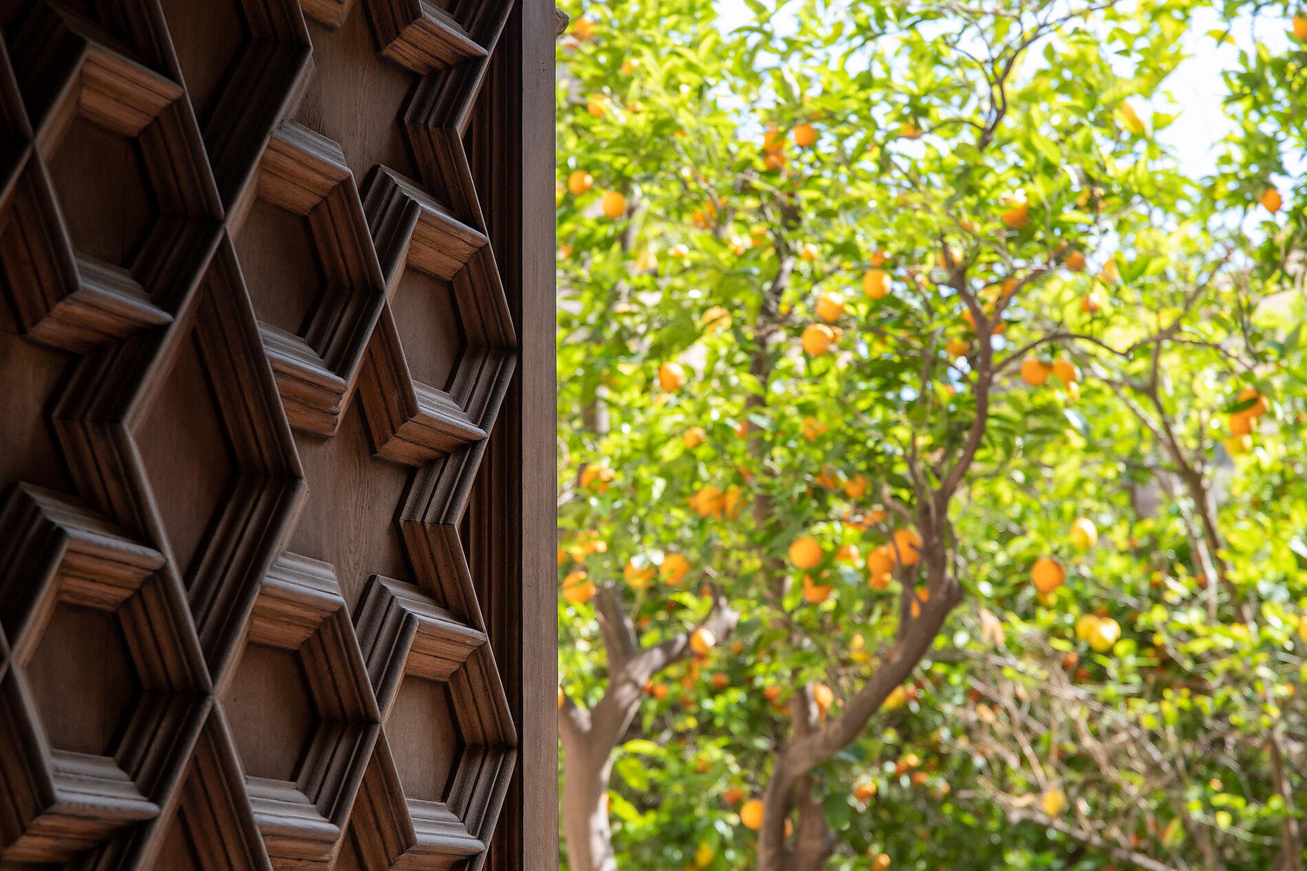 Trésors de la Méditerranée occidentale