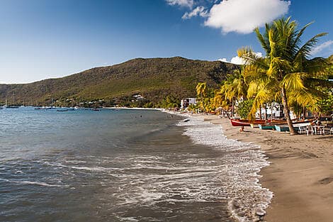 4 Janv 26 - Grande Anse d'Arlet