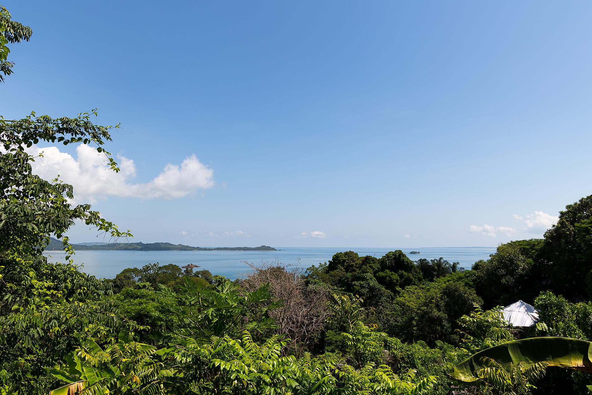 Joyaux de Madagascar 