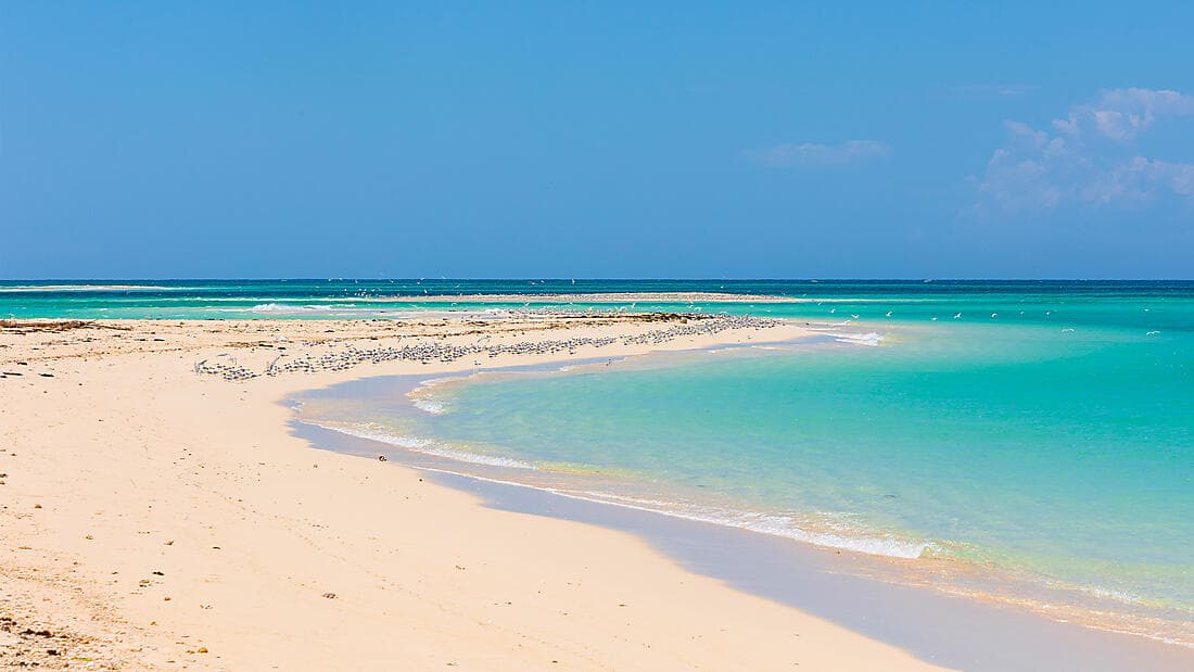 Joyaux de Madagascar