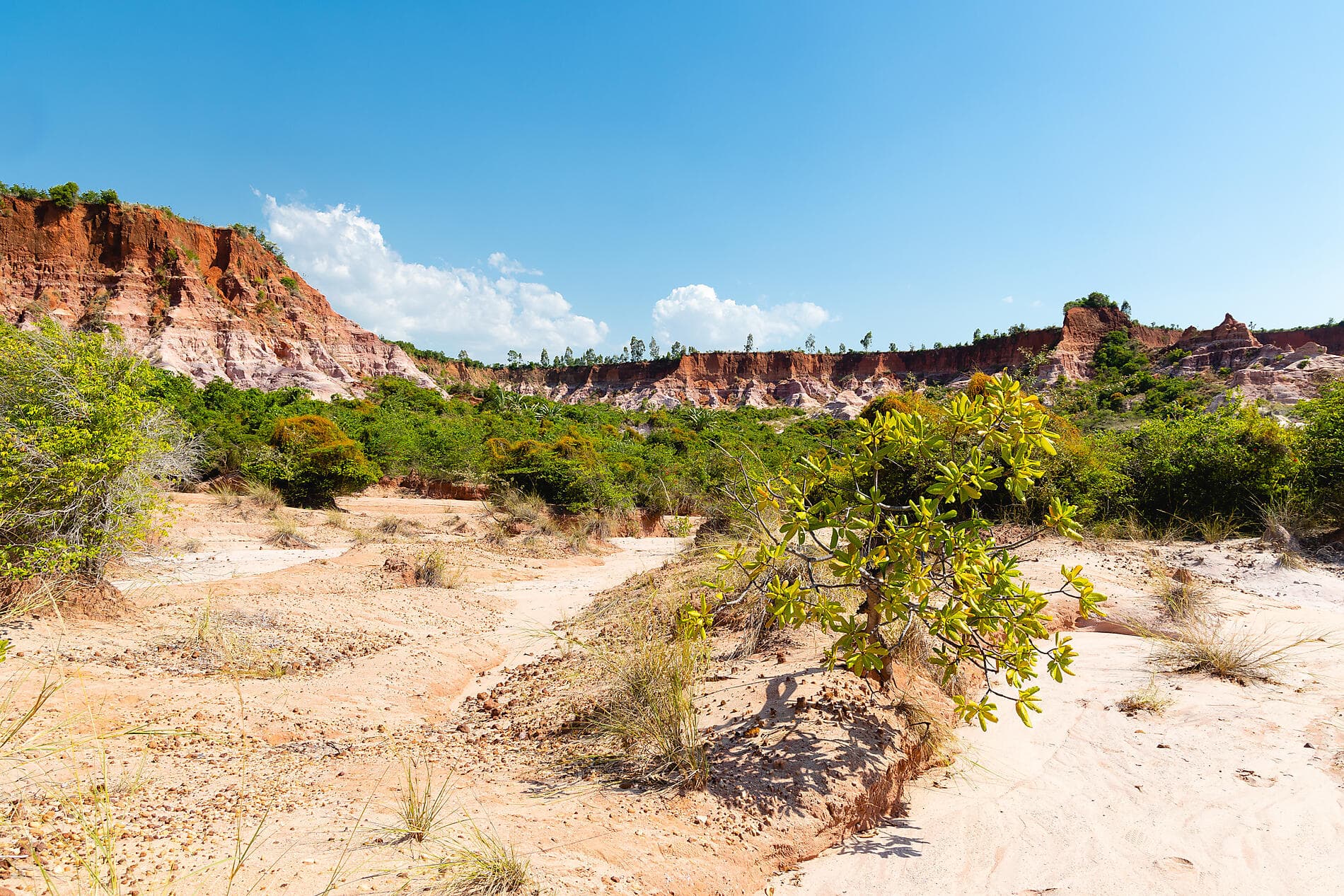 Joyaux de Madagascar 