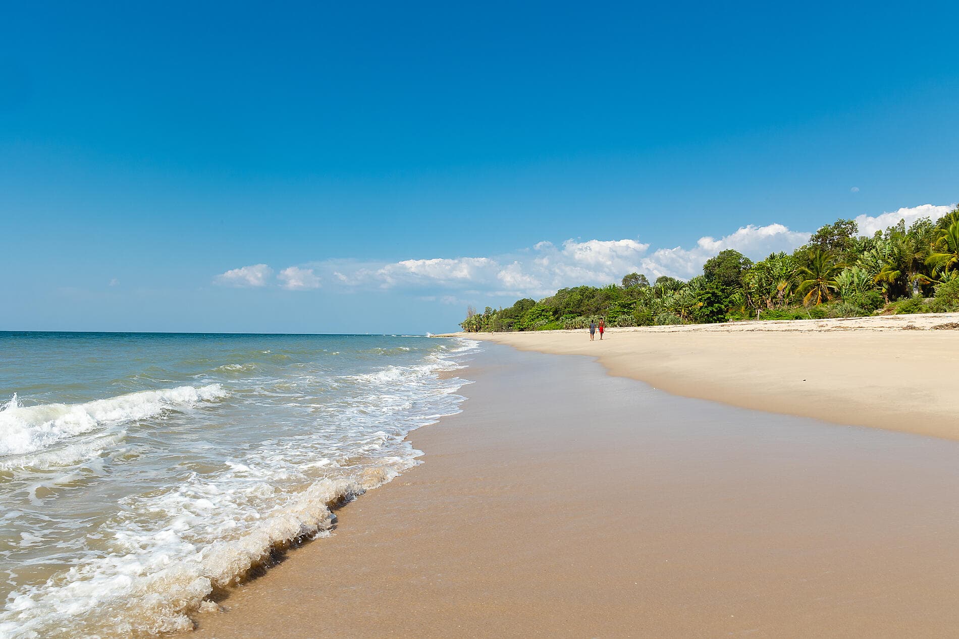 Joyaux de Madagascar 