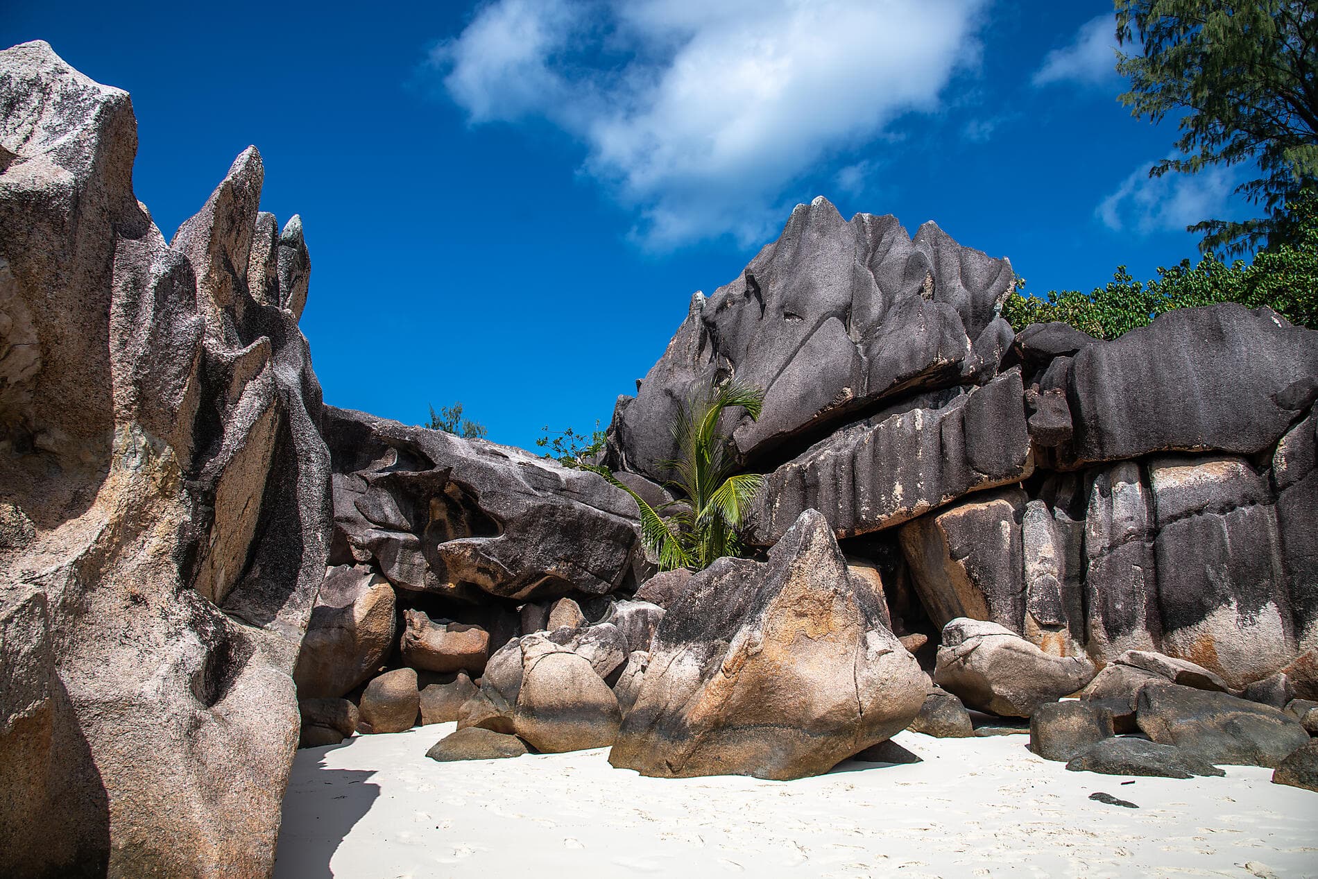 L’essentiel des Seychelles