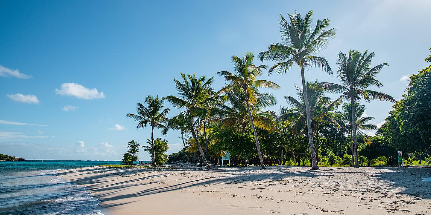 Les îles du Vent à fleur d’eau
