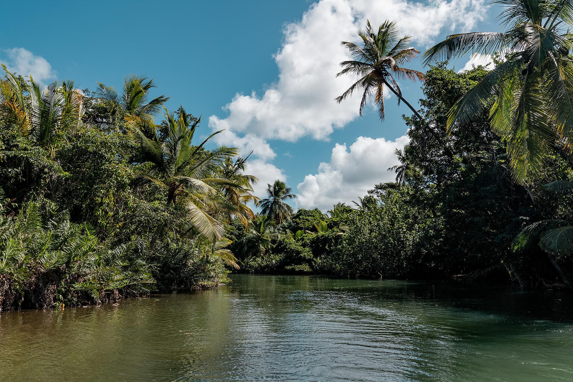 Les îles du Vent à fleur d’eau
