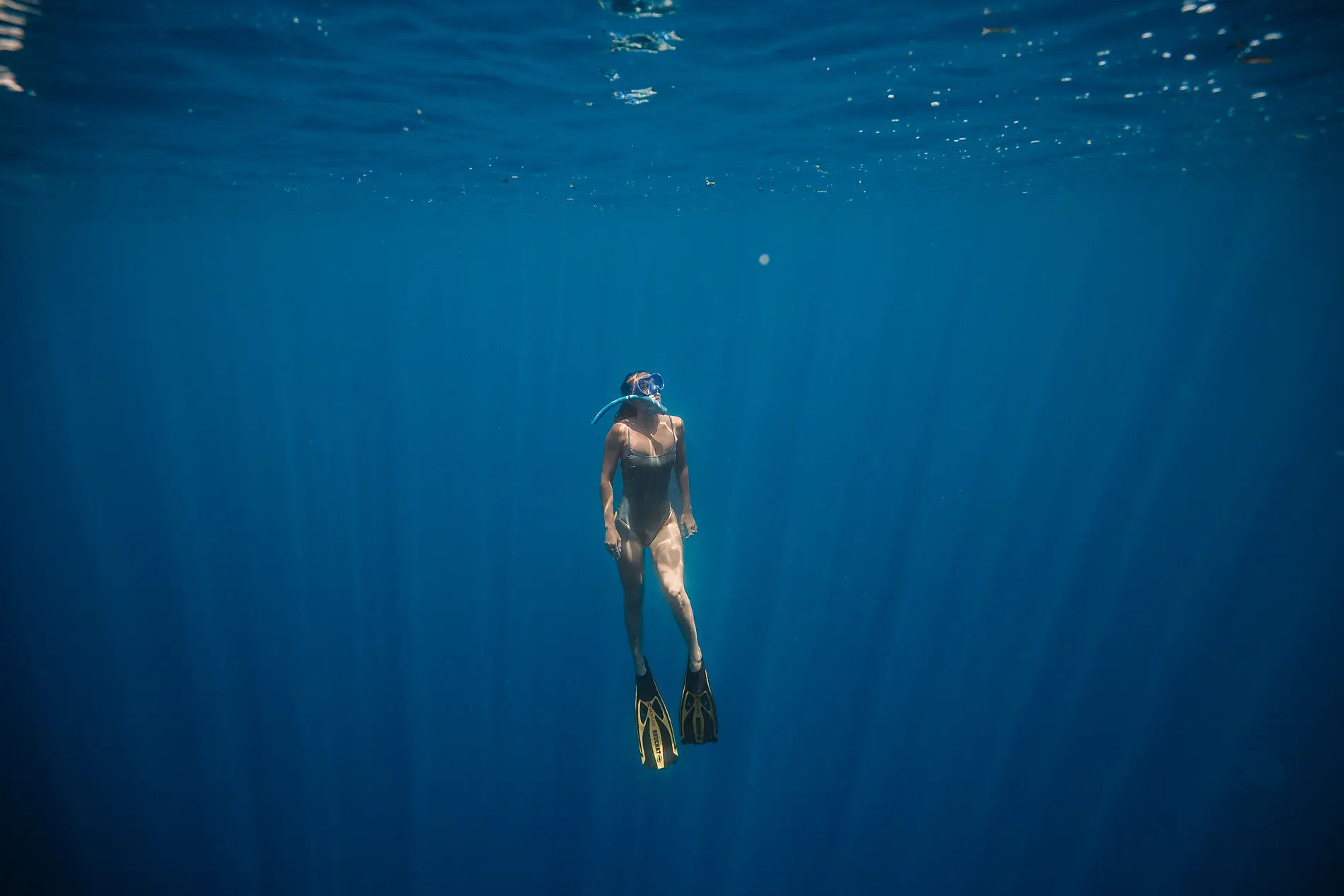 Les îles du Vent à fleur d’eau