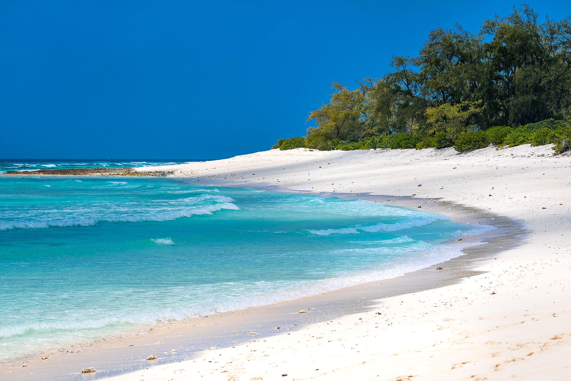 De Madagascar aux Seychelles, îles insoupçonnées 