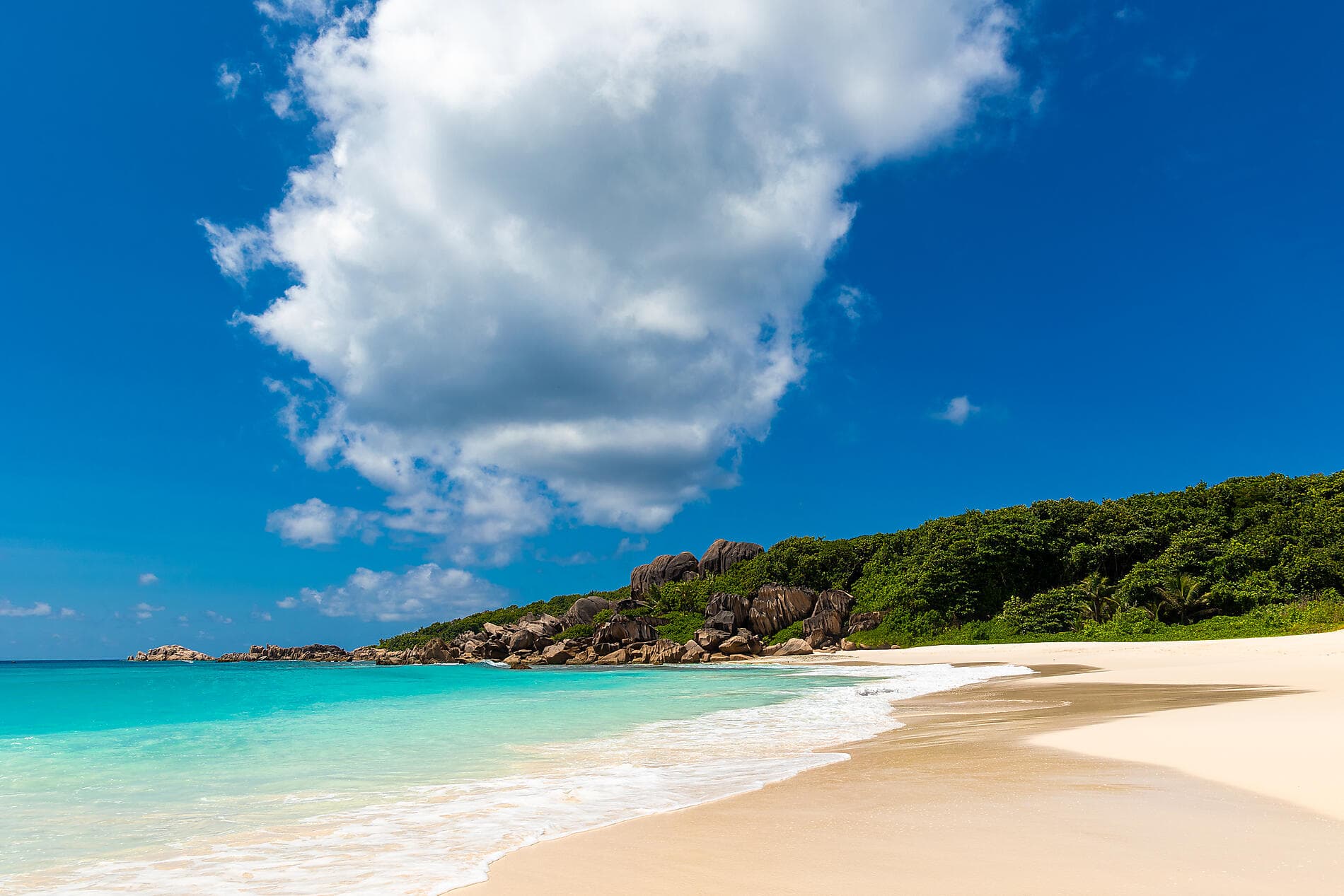 De Madagascar aux Seychelles, îles insoupçonnées 