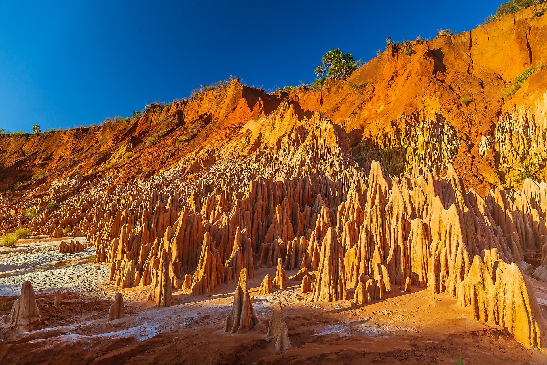 De Madagascar aux Seychelles, îles insoupçonnées 