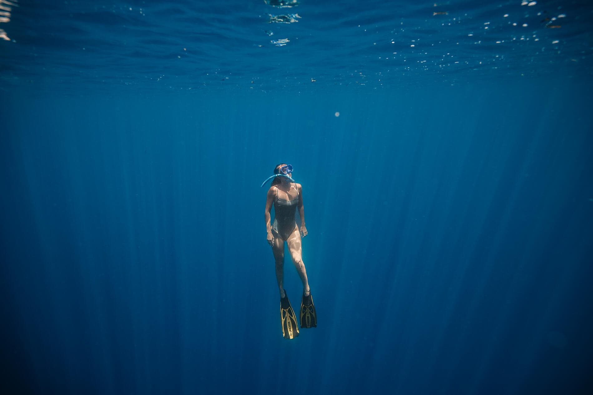 De Madagascar aux Seychelles, îles insoupçonnées 