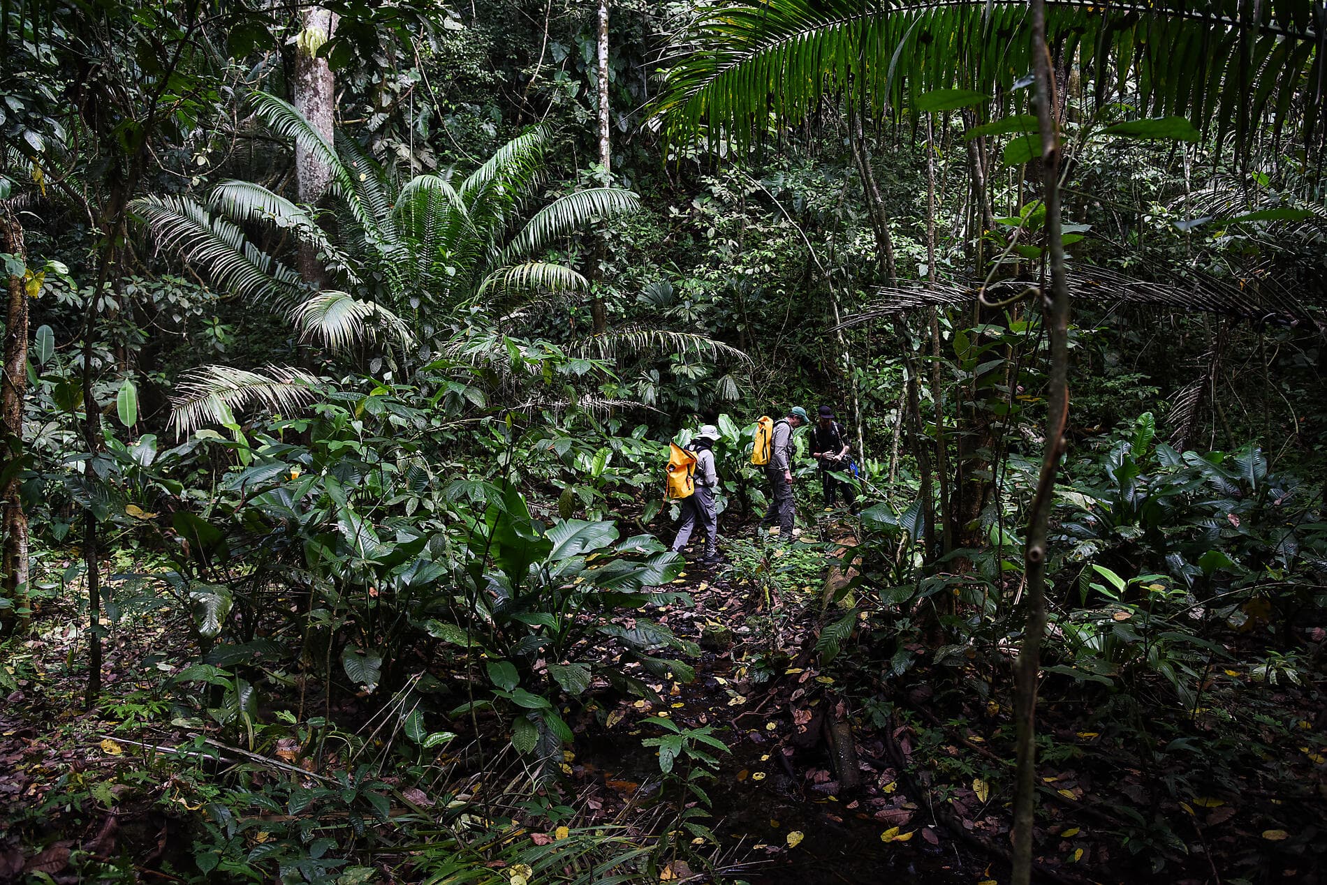 Secrets d’Amérique centrale