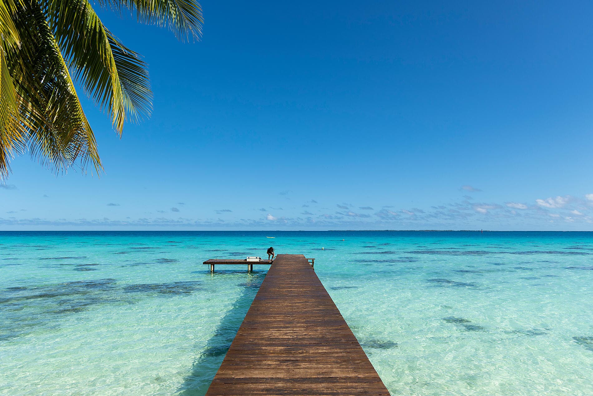 Marquises, Tuamotu et îles de la Société