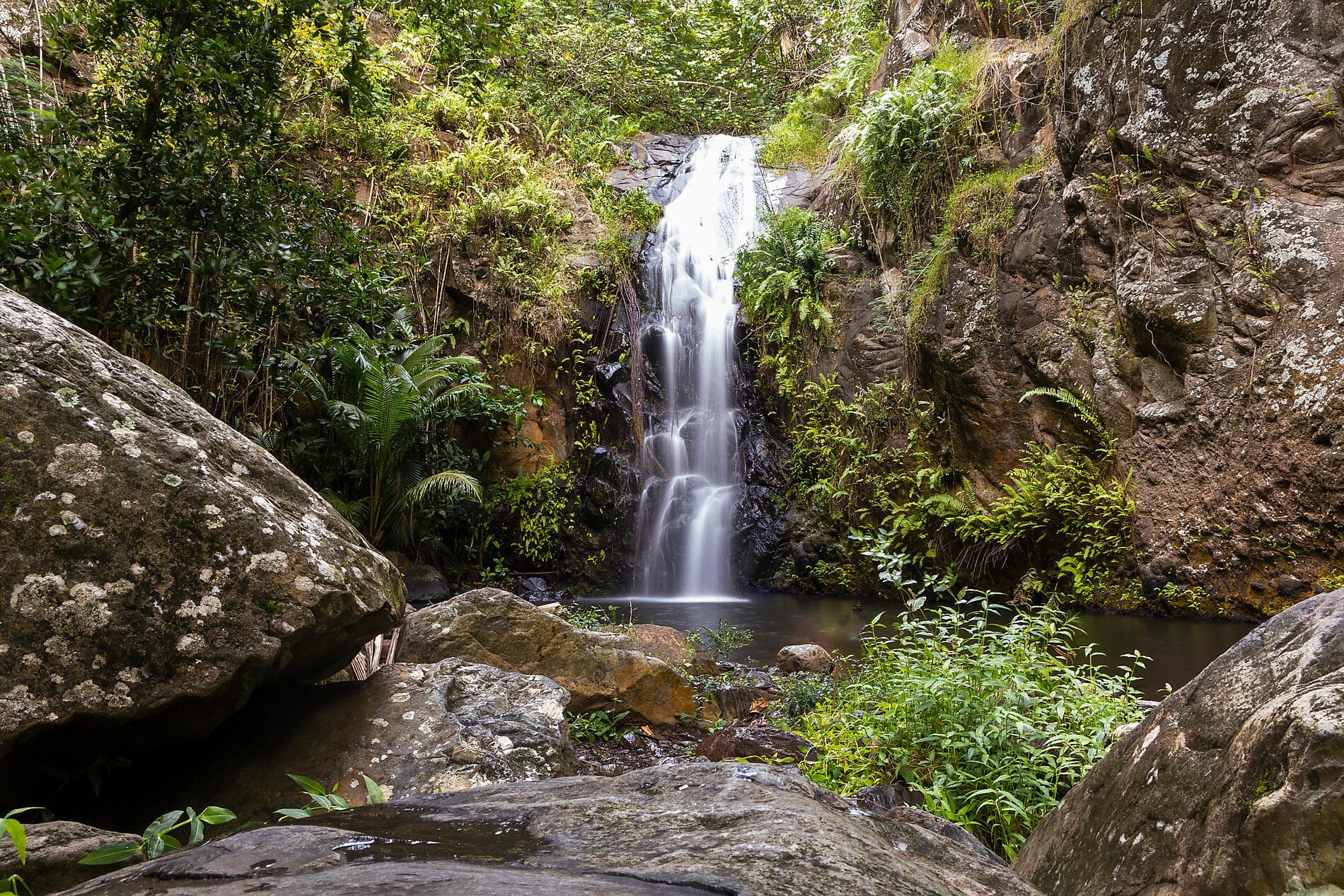 Douceur polynésienne : Marquises et Tuamotu