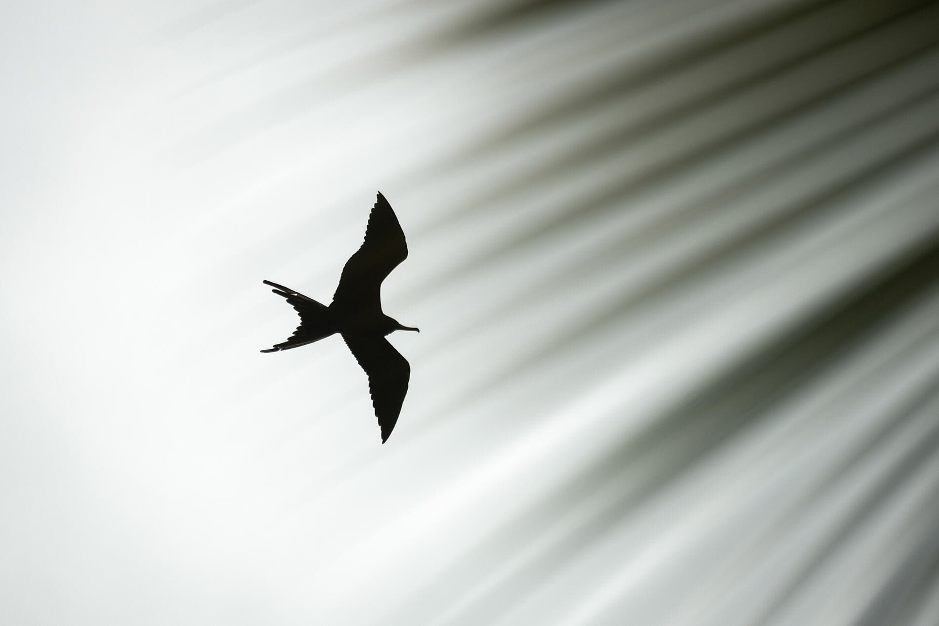 Panama, Colombie et les îles Caraïbes  