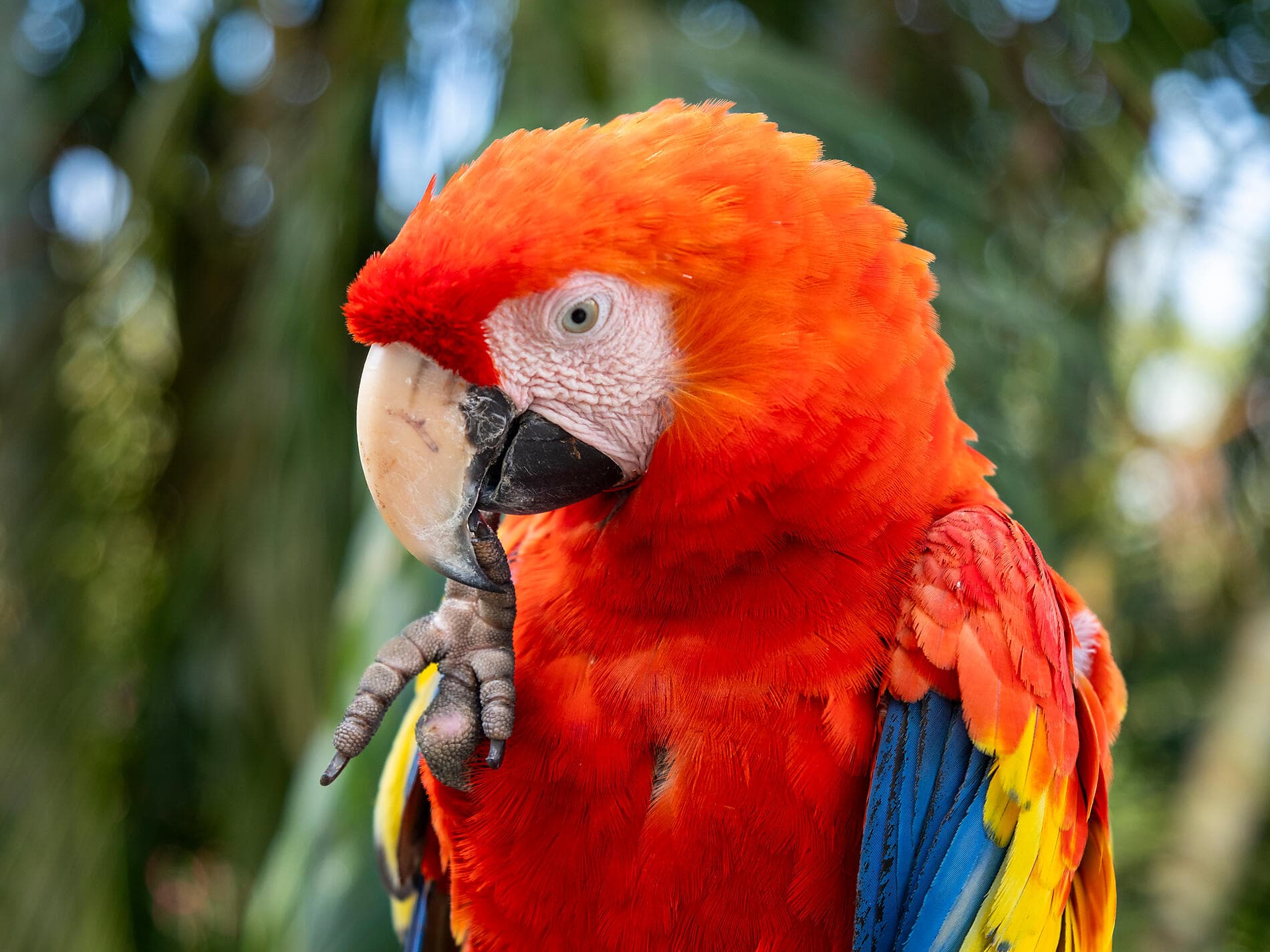 Panama, Colombie et les îles Caraïbes  