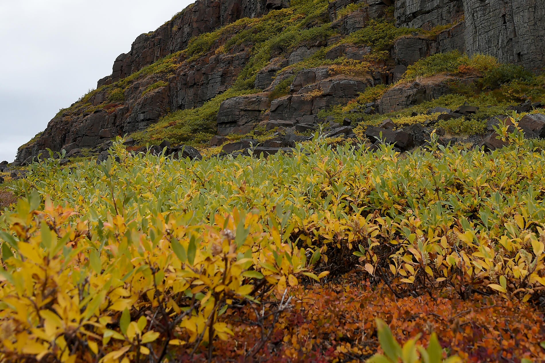 No-2728_A160816_Edinburgh-Island©StudioPONANT-Nathalie Michel.JPG