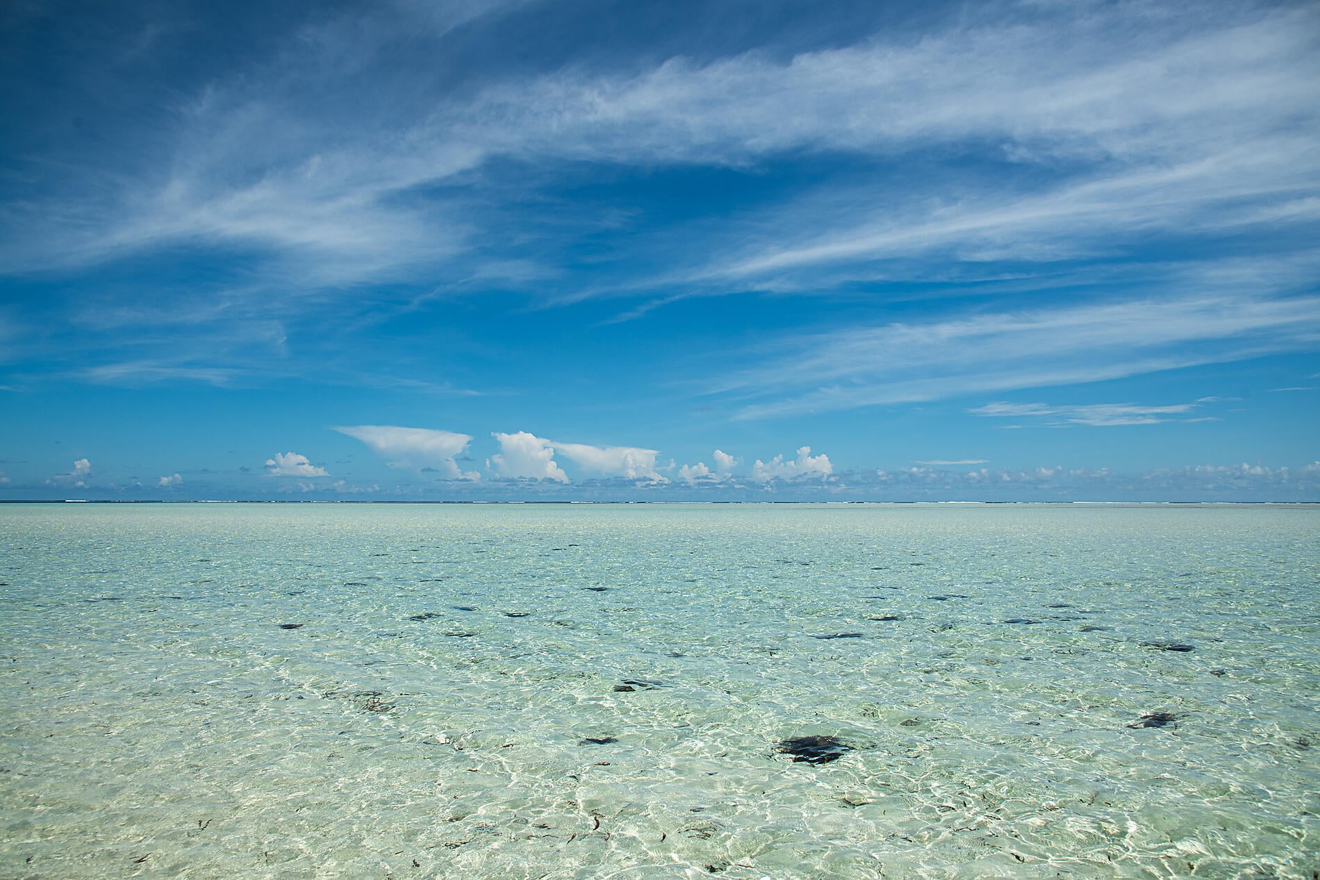 No-2159_G171221_Victoria-Mahé-Victoria©StudioPONANT-Sarah Congui.jpg