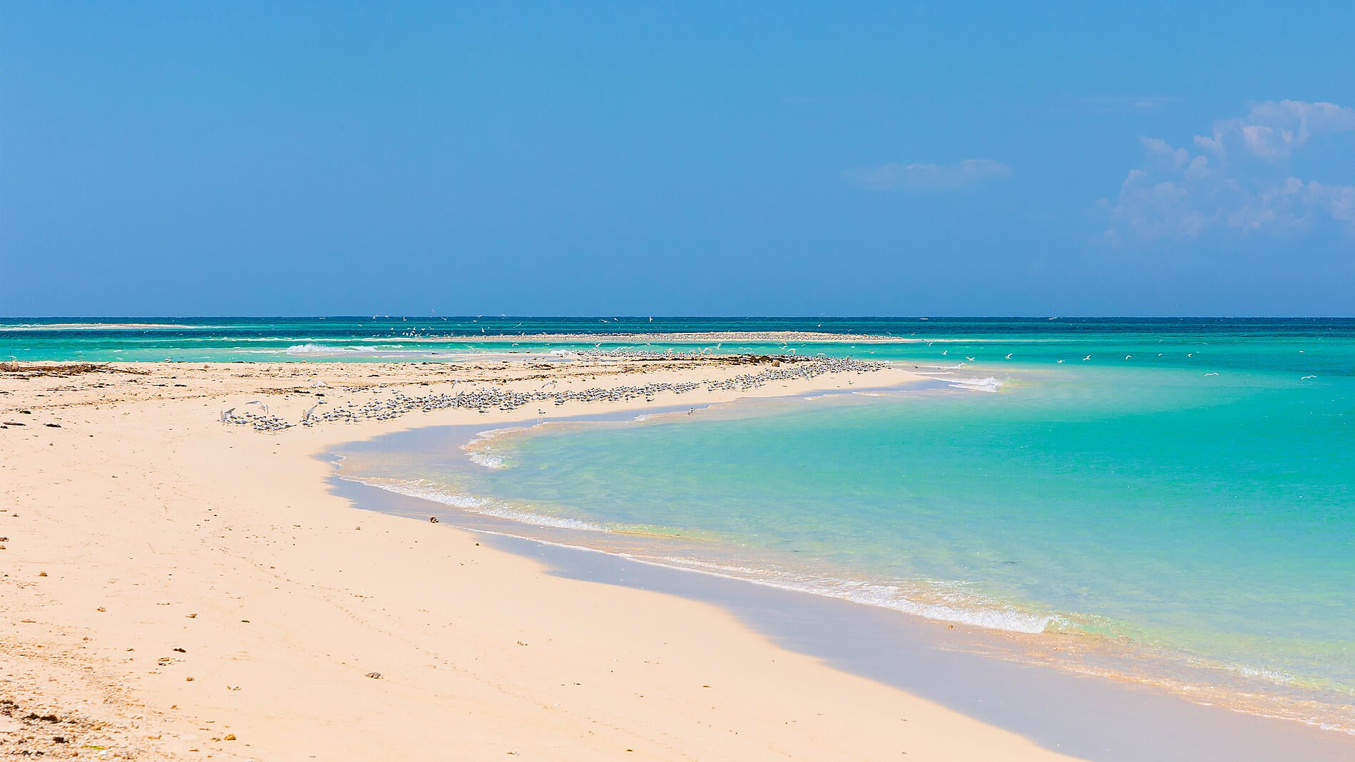 Joyaux de Madagascar