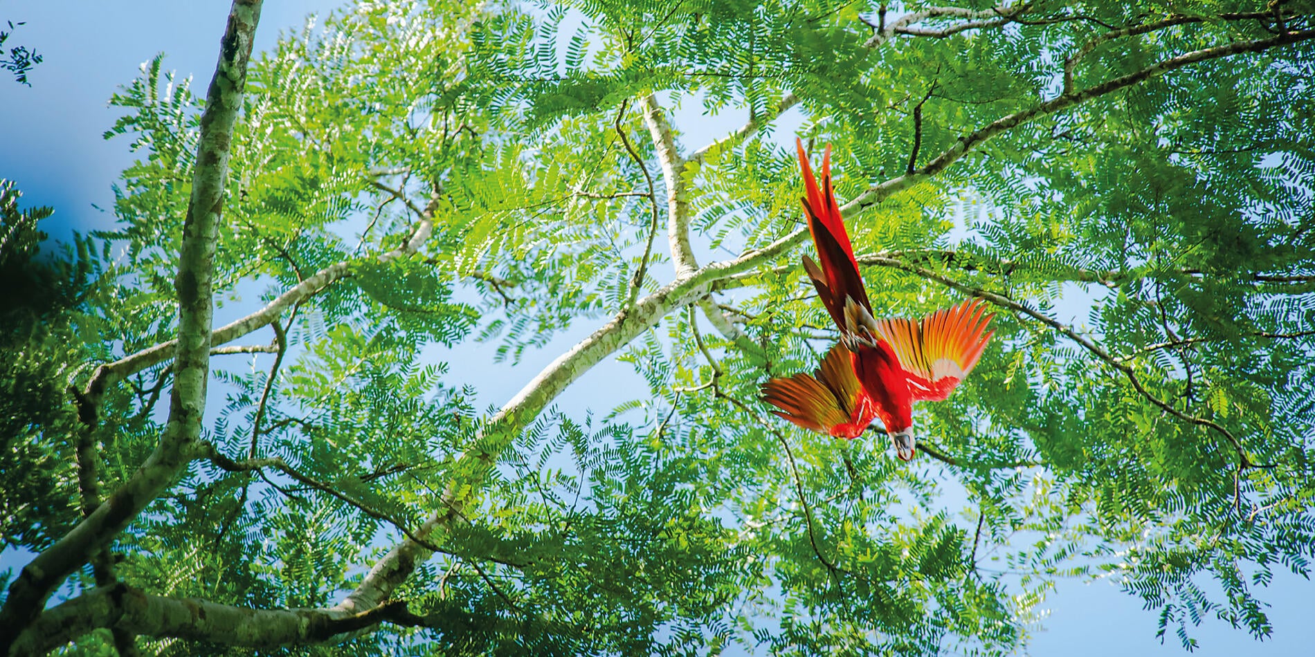 Canal de Panama et joyaux d’Amérique centrale Canal de Panama et joyaux d’Amérique centrale