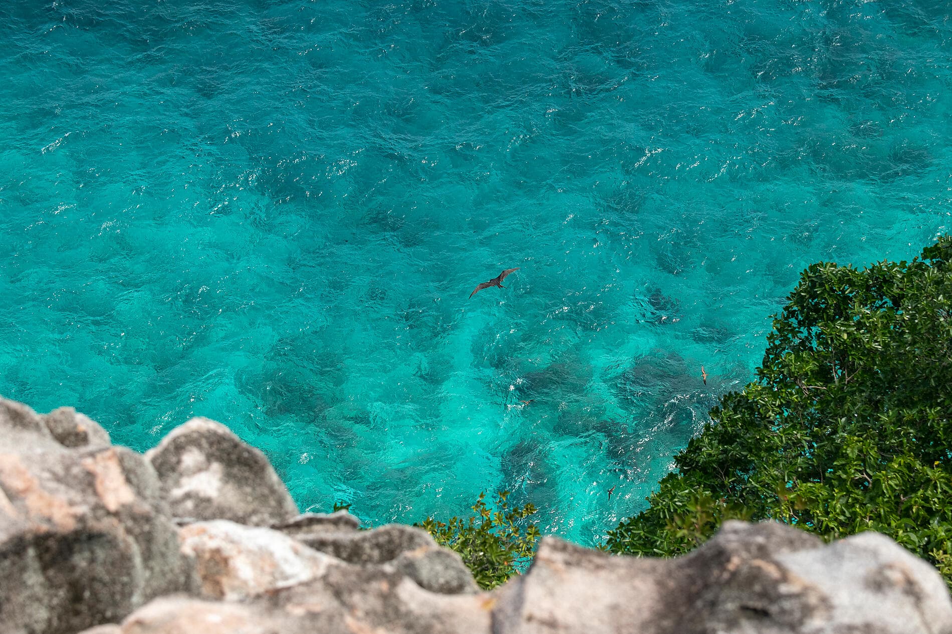 L’essentiel des Seychelles