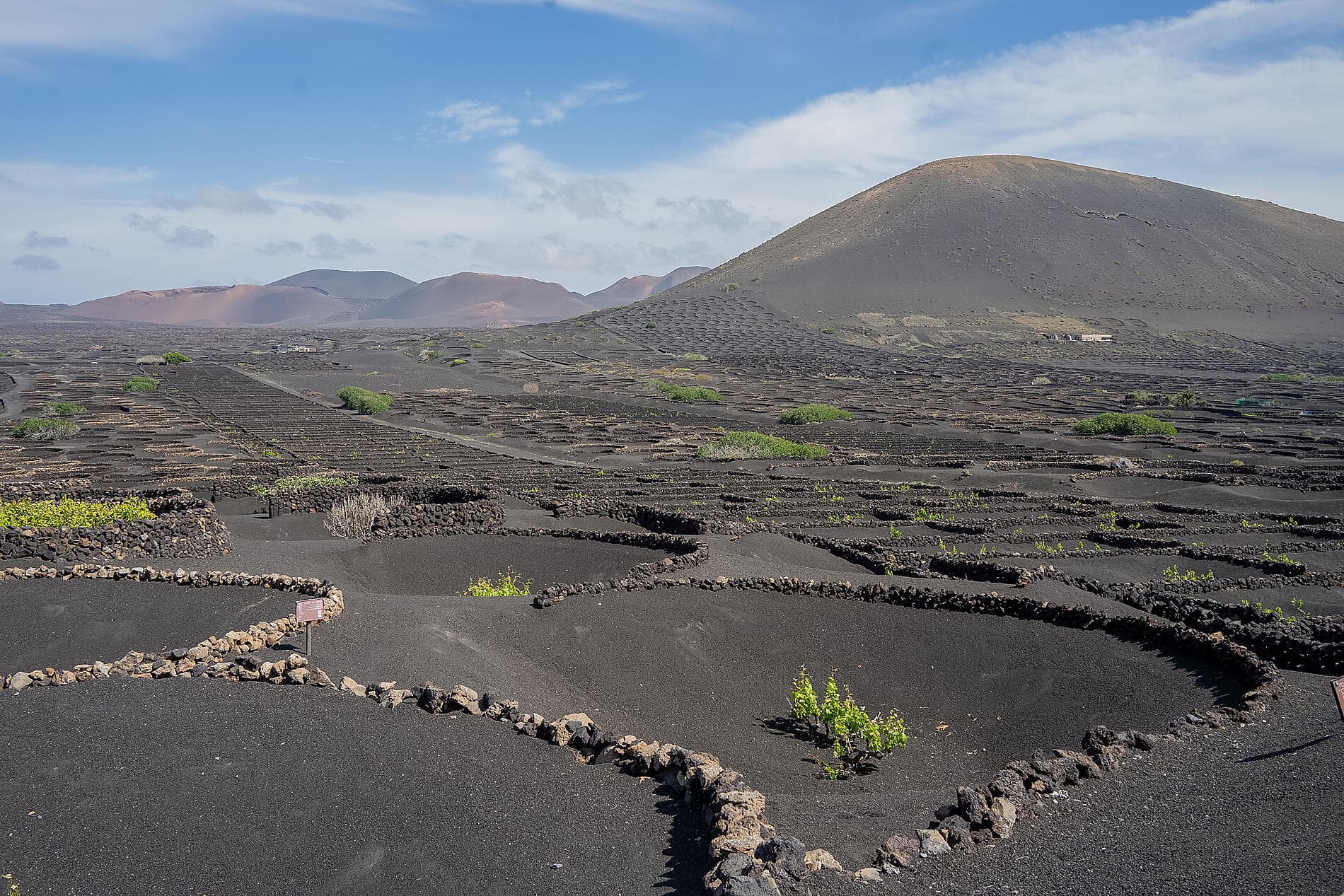 Splendeurs des Canaries et authentique Madère