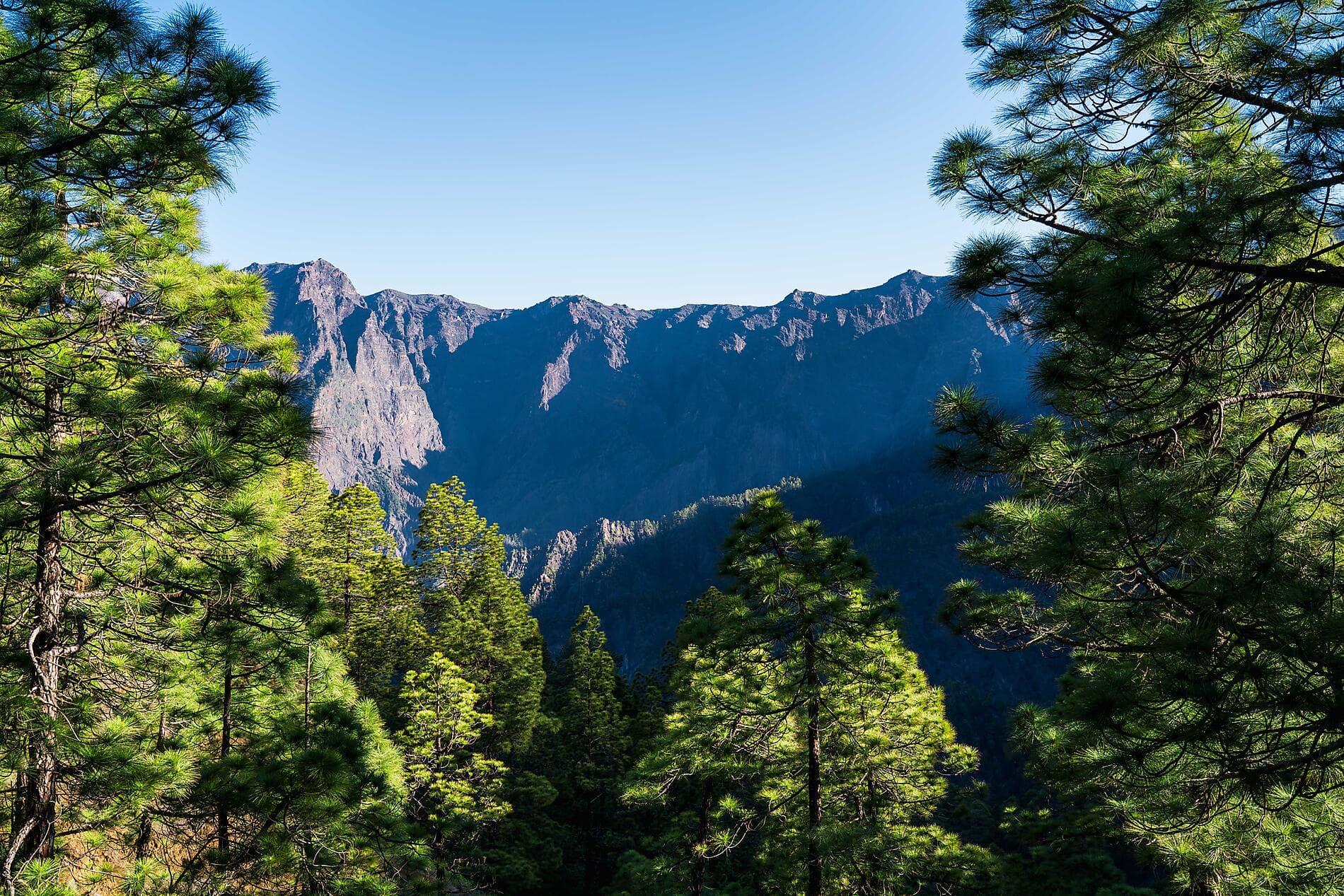 Splendeurs des Canaries et authentique Madère